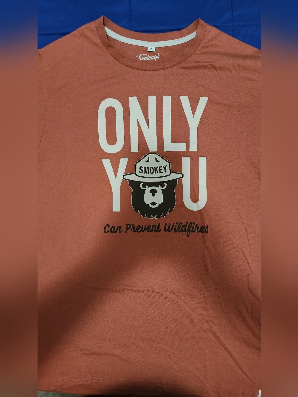 The Landmark Smokey Bear 'Only You' Short Sleeve Tee - Rust